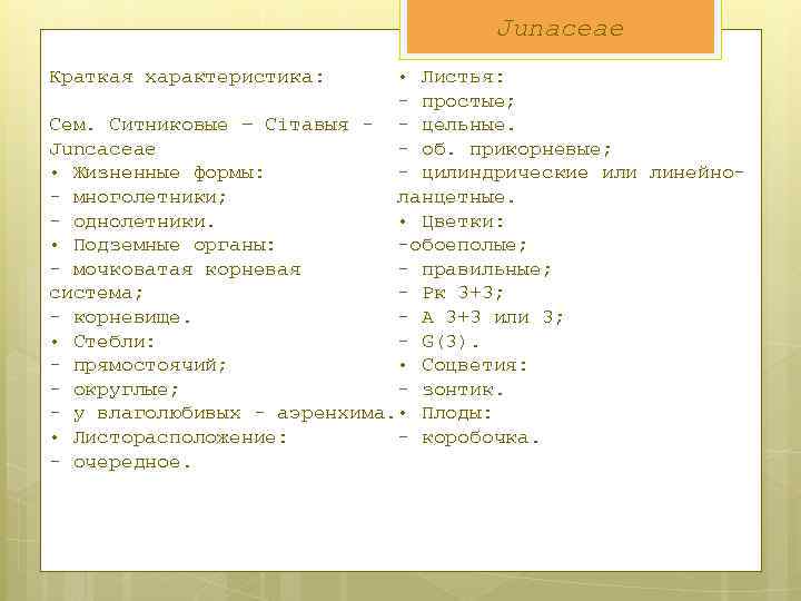 Junaceae Краткая характеристика: • Листья: - простые; Сем. Ситниковые – Сітавыя - - цельные.