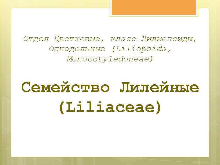 Отдел Цветковые, класс Лилиопсиды, Однодольные (Liliopsida, Monocotyledoneae) Семейство Лилейные (Liliaceae) 