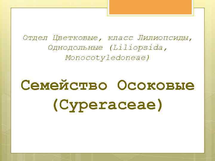 Отдел Цветковые, класс Лилиопсиды, Однодольные (Liliopsida, Monocotyledoneae) Семейство Осоковые (Cyperaceae) 