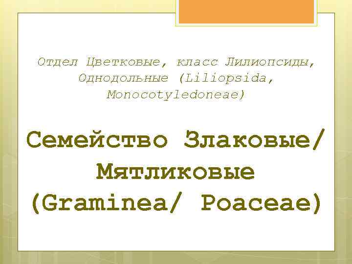 Отдел Цветковые, класс Лилиопсиды, Однодольные (Liliopsida, Monocotyledoneae) Семейство Злаковые/ Мятликовые (Graminea/ Poaceae) 