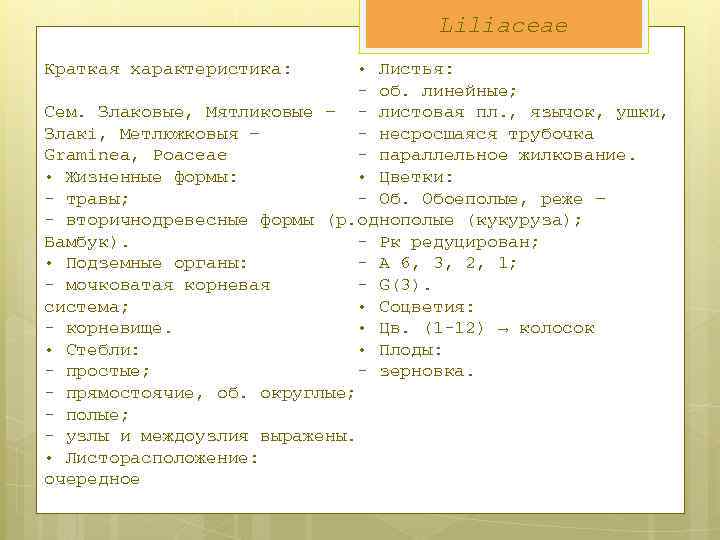 Liliaceae Краткая характеристика: • Листья: - об. линейные; Сем. Злаковые, Мятликовые – - листовая