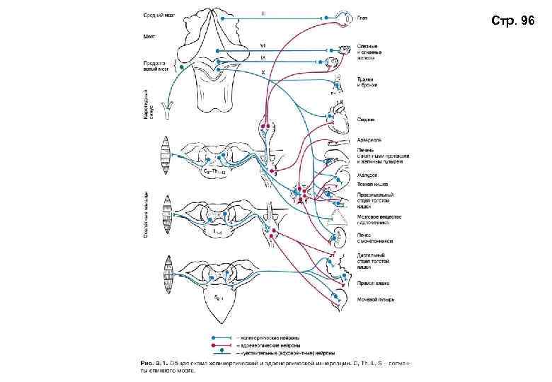 Стр. 96 