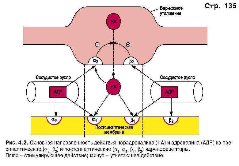 Стр. 135 