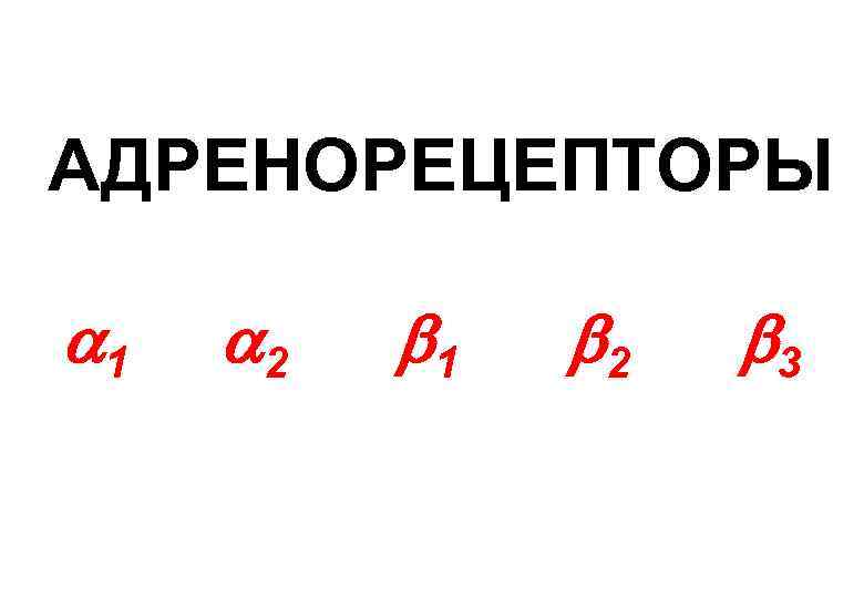 АДРЕНОРЕЦЕПТОРЫ 1 2 3 