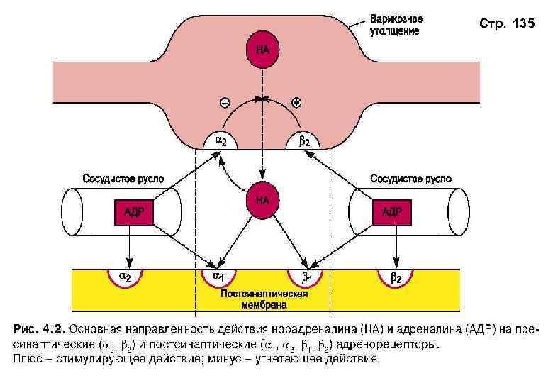 Стр. 135 