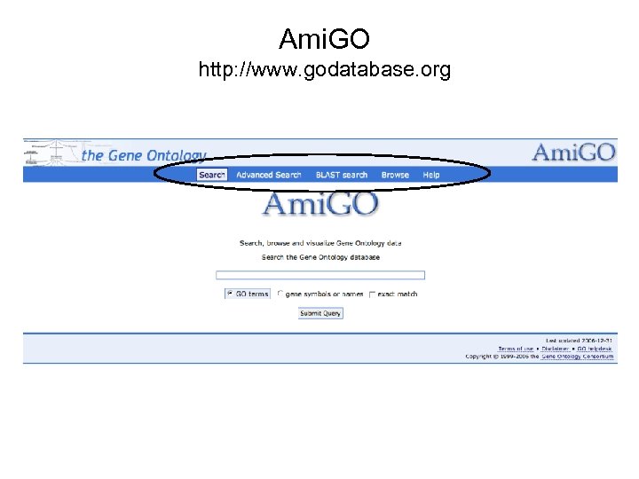 Ami. GO http: //www. godatabase. org 