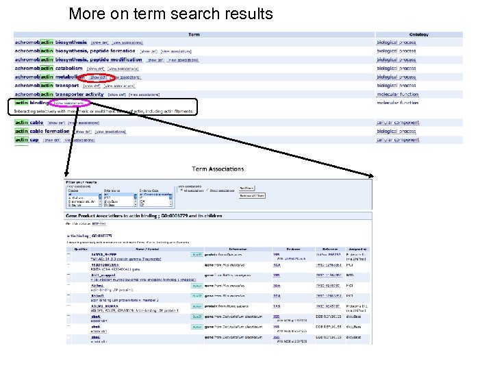 More on term search results 