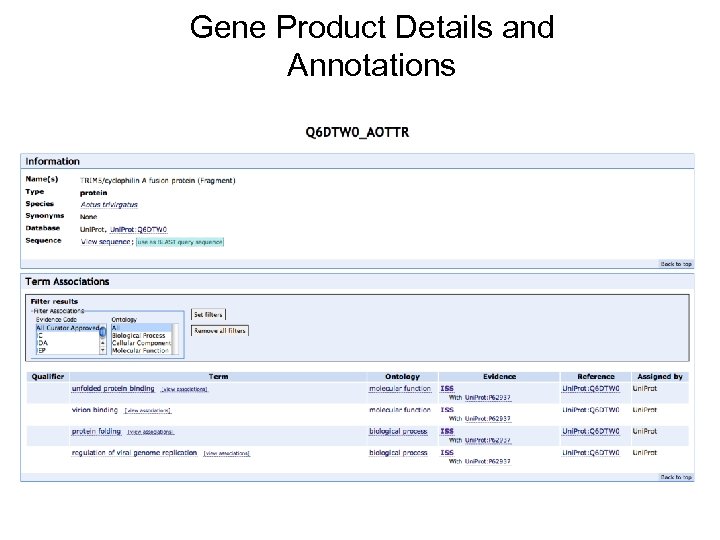 Gene Product Details and Annotations 