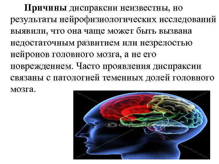 Причины диспраксии неизвестны, но результаты нейрофизиологических исследований выявили, что она чаще может быть вызвана