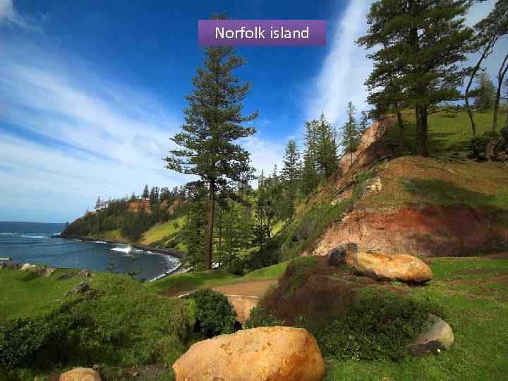 Norfolk island 
