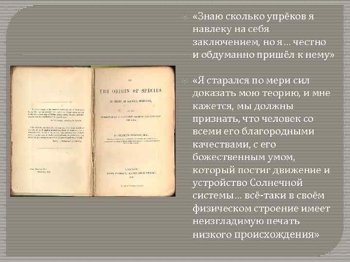  «Знаю сколько упрёков я навлеку на себя заключением, но я… честно и обдуманно