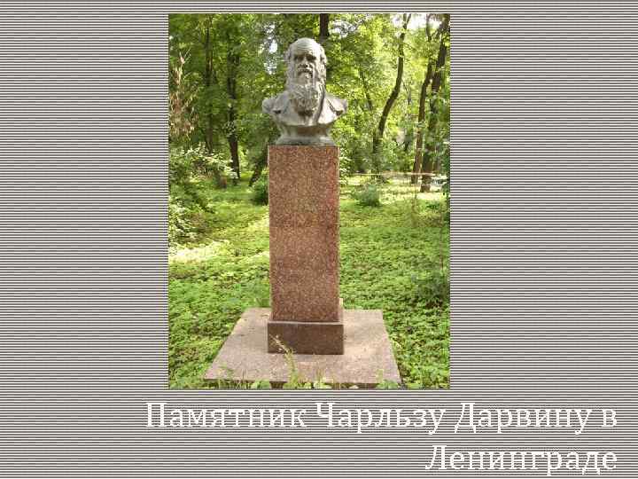 Памятник Чарльзу Дарвину в Ленинграде 