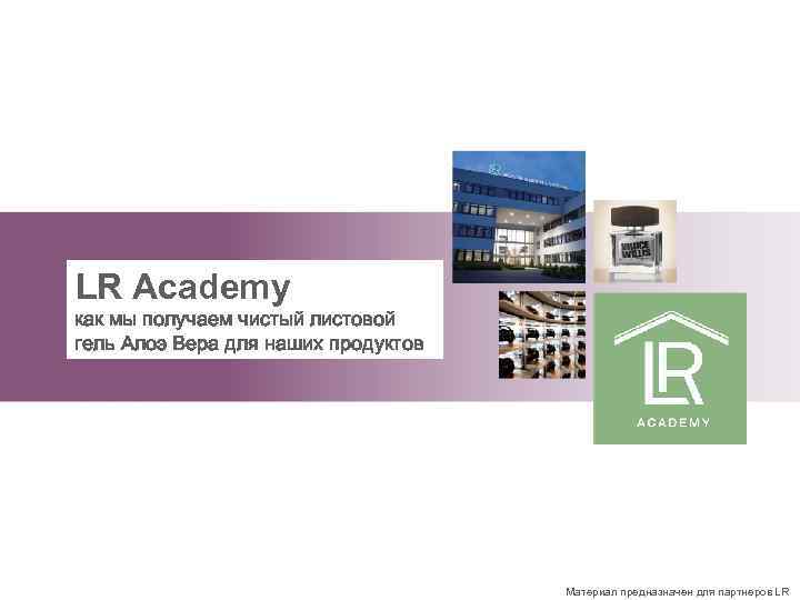 LR Academy LR Akademie как мы получаем чистый листовой Aloe Vera: Anbau гель Алоэ