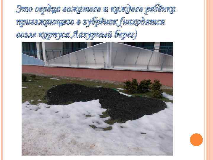 Это сердца вожатого и каждого ребёнка приезжающего в зубрёнок (находятся возле корпуса Лазурный берег)