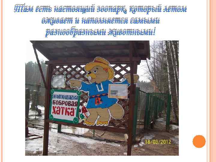 Там есть настоящий зоопарк, который летом оживает и наполняется самыми разнообразными животными! 