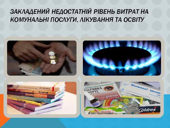 ЗАКЛАДЕНИЙ НЕДОСТАТНІЙ РІВЕНЬ ВИТРАТ НА КОМУНАЛЬНІ ПОСЛУГИ, ЛІКУВАННЯ ТА ОСВІТУ 