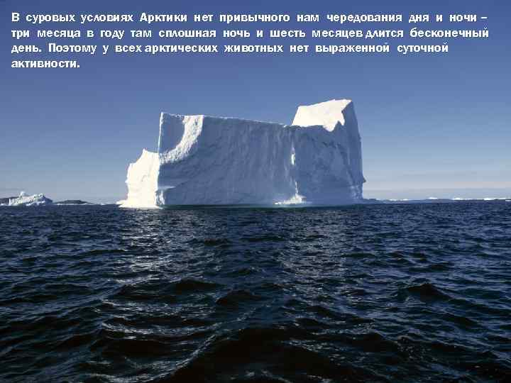 В суровых условиях Арктики нет привычного нам чередования дня и ночи – три месяца