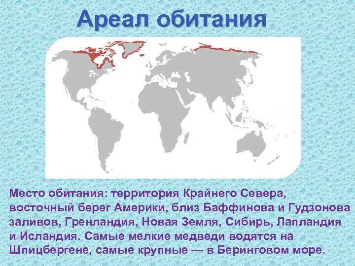 Ареал обитания Место обитания: территория Крайнего Севера, восточный берег Америки, близ Баффинова и Гудзонова