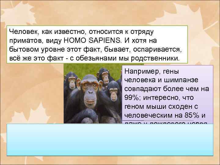 Человек, как известно, относится к отряду приматов, виду HOMO SAPIENS. И хотя на бытовом