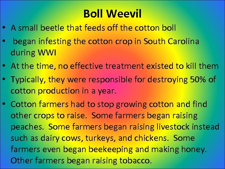 Boll Weevil • A small beetle that feeds off the cotton boll • began