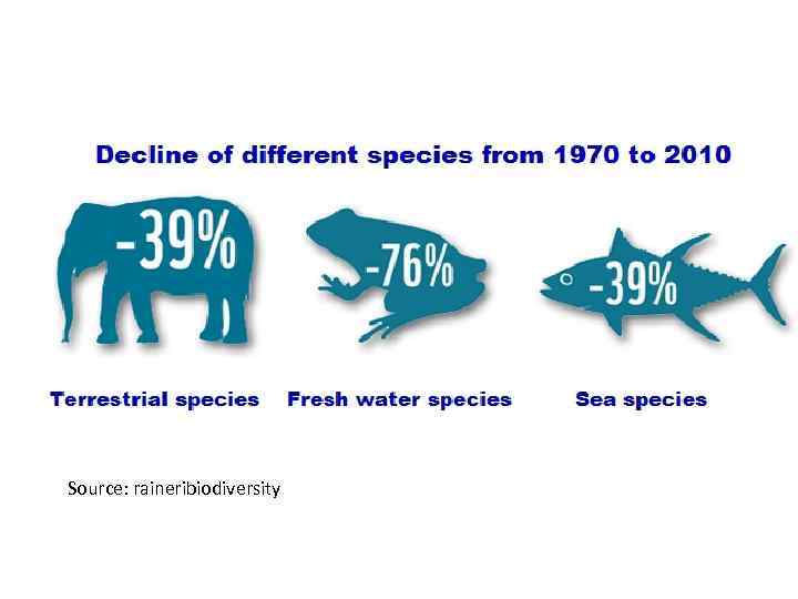 Source: raineribiodiversity 