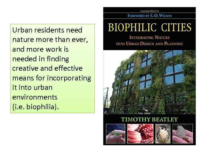 Urban residents need nature more than ever, and more work is needed in finding