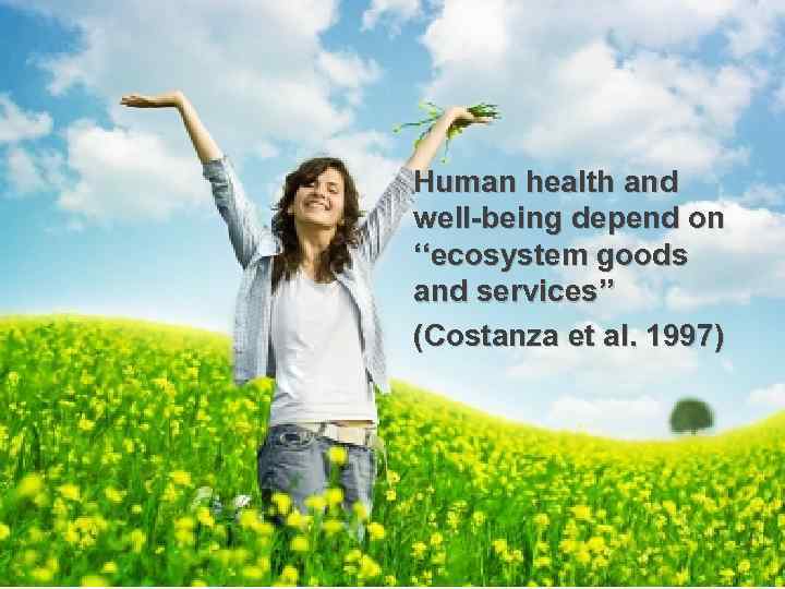 Human health and well-being depend on ‘‘ecosystem goods and services’’ (Costanza et al. 1997)
