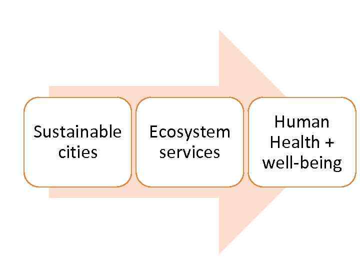 Sustainable cities Ecosystem services Human Health + well-being 