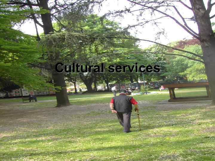Cultural services 