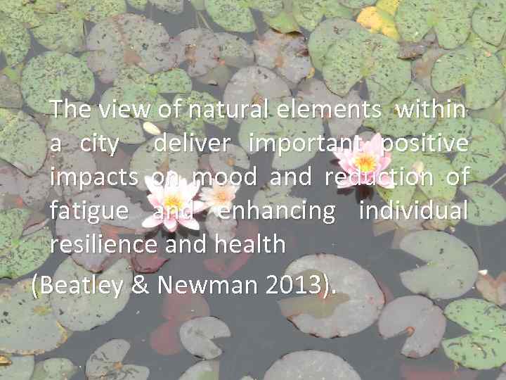 The view of natural elements within a city deliver important positive impacts on mood