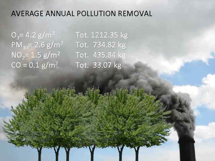 AVERAGE ANNUAL POLLUTION REMOVAL O 3= 4. 2 g/m 2 PM 10= 2. 6