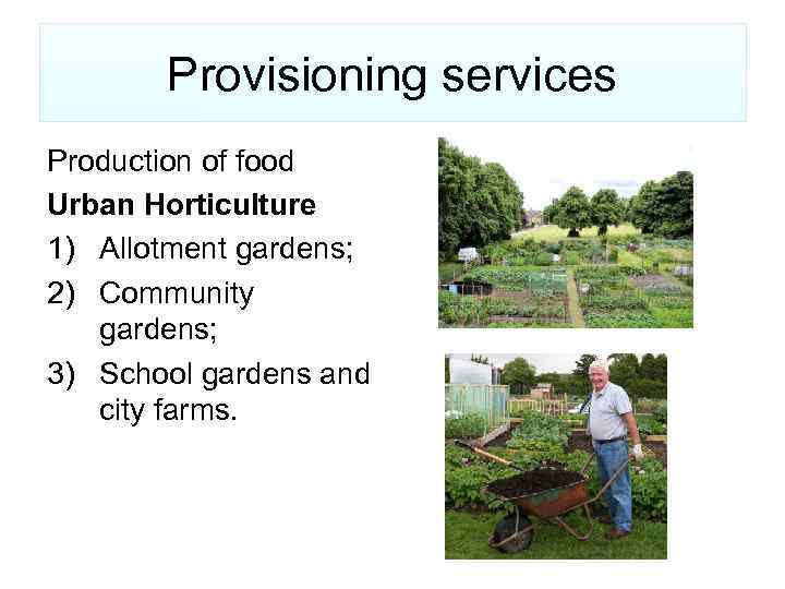 Provisioning services Production of food Urban Horticulture 1) Allotment gardens; 2) Community gardens; 3)