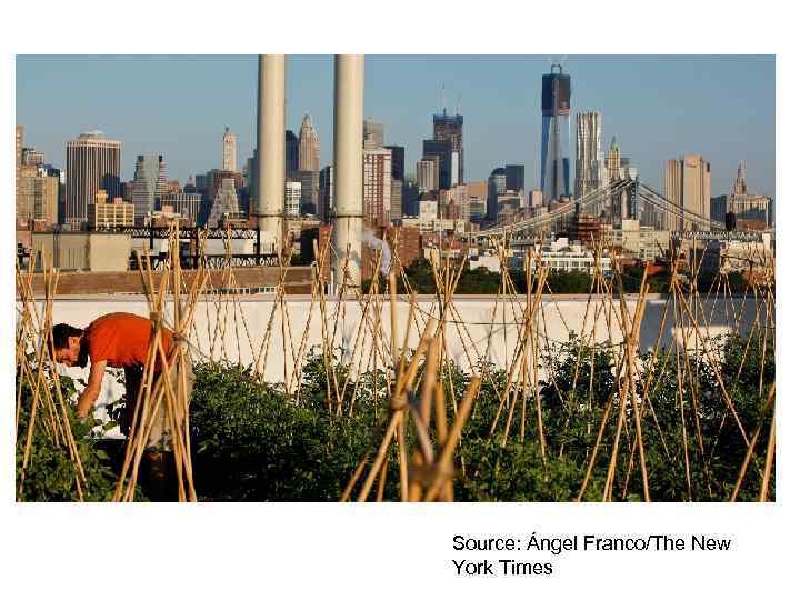 Source: Ángel Franco/The New York Times 