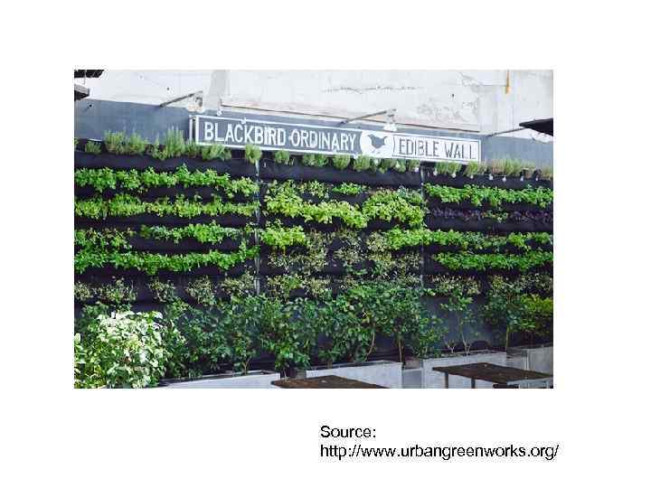 Source: http: //www. urbangreenworks. org/ 