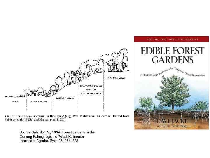 Source: Salafsky, N. , 1994. Forest gardens in the Gunung Palung region of West