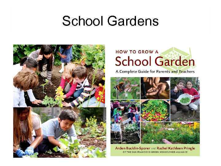 School Gardens 