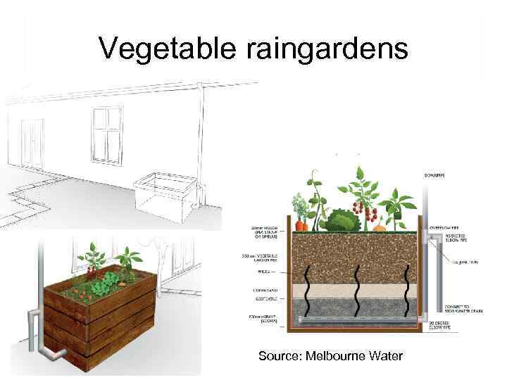 Vegetable raingardens Source: Melbourne Water 