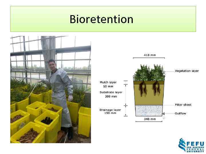 Bioretention 