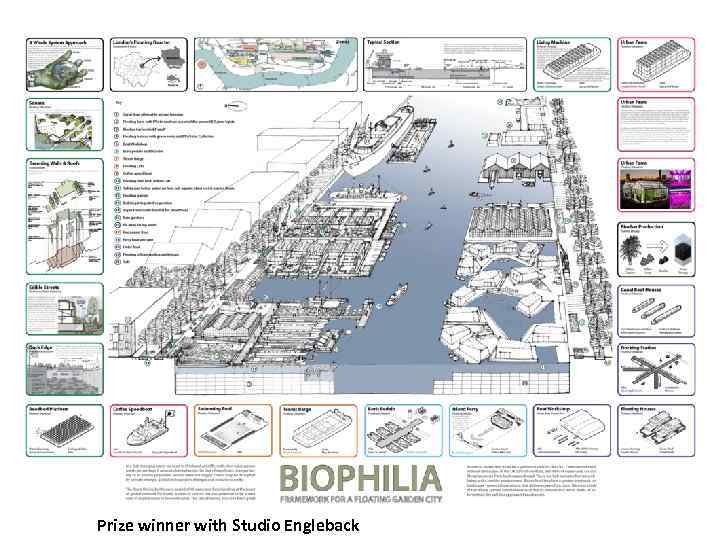 Prize winner with Studio Engleback 