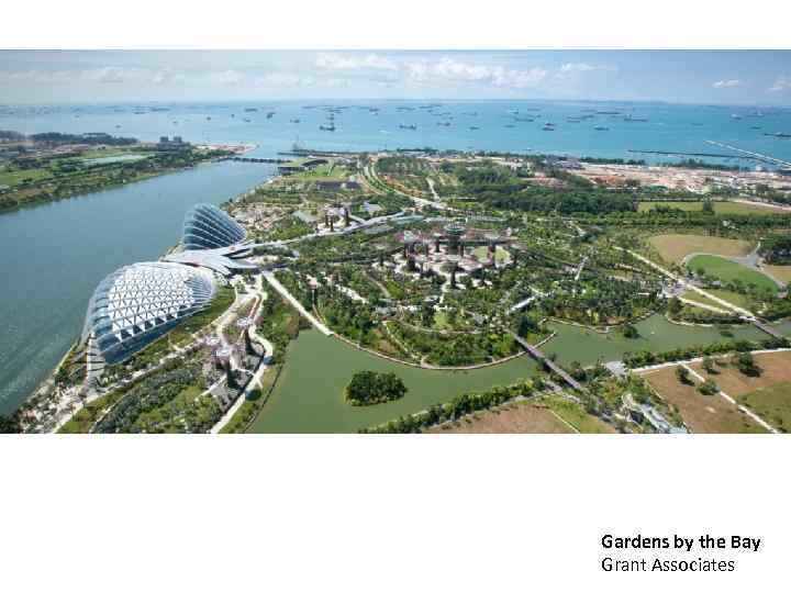 Gardens by the Bay Grant Associates 
