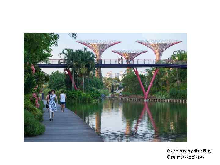 Gardens by the Bay Grant Associates 