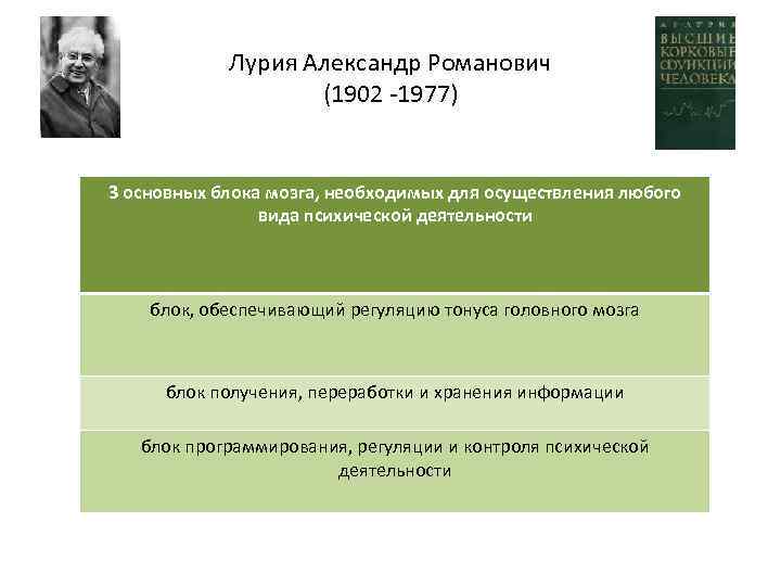 Лурия Александр Романович (1902 -1977) 3 основных блока мозга, необходимых для осуществления любого вида