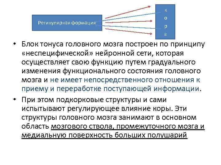 Ретикулярная формация к о р а • Блок тонуса головного мозга построен по принципу