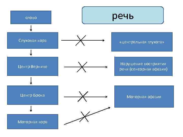 слово речь Слуховая кора «центральная глухота» Центр Вернике Нарушение восприятия речи (сенсорная афазия) Центр