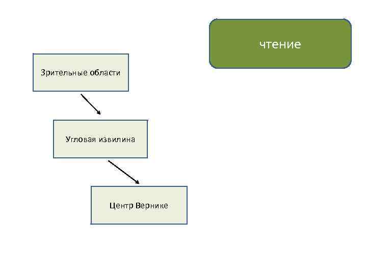 чтение Зрительные области Угловая извилина Центр Вернике 