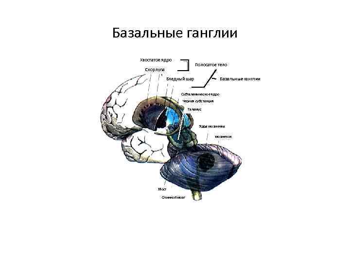 Тест на темное ядро личности