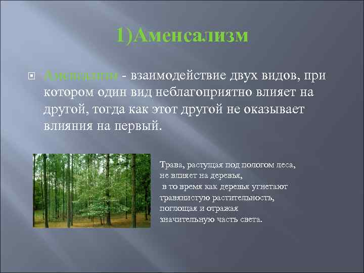 1)Аменсализм - взаимодействие двух видов, при котором один вид неблагоприятно влияет на другой, тогда