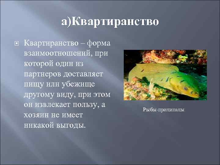 а)Квартиранство – форма взаимоотношений, при которой один из партнеров доставляет пищу или убежище другому