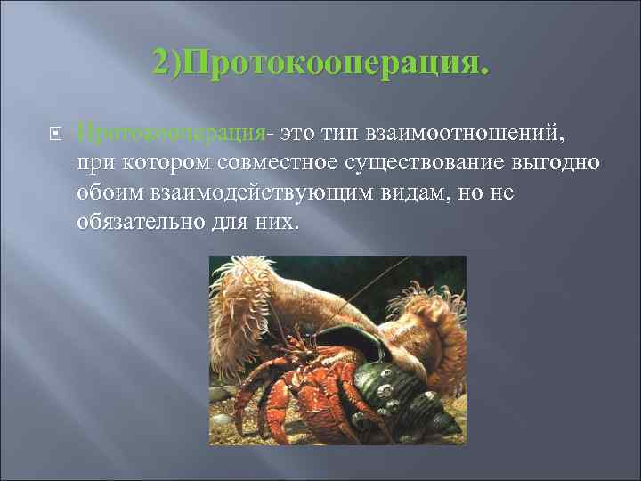 2)Протокооперация- это тип взаимоотношений, при котором совместное существование выгодно обоим взаимодействующим видам, но не