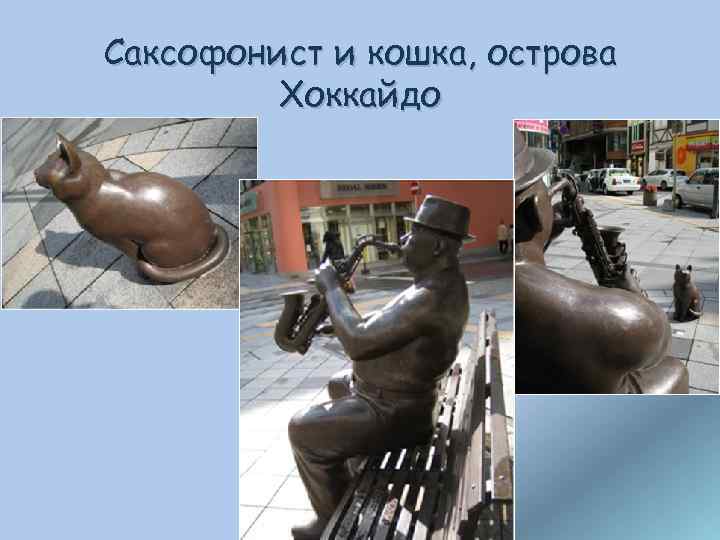 Саксофонист и кошка, острова Хоккайдо 